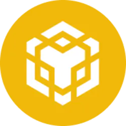 BNB CAT logo