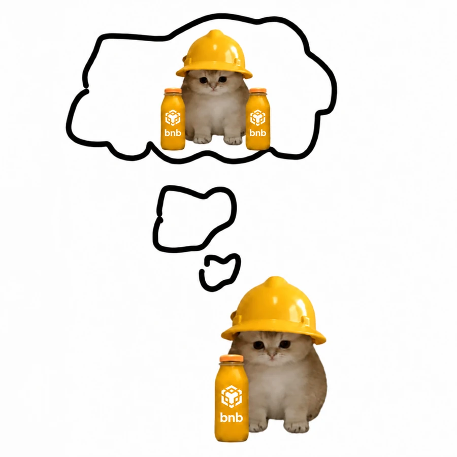 BNB CAT dreaming in a yellow construction helmet with BNB bottles